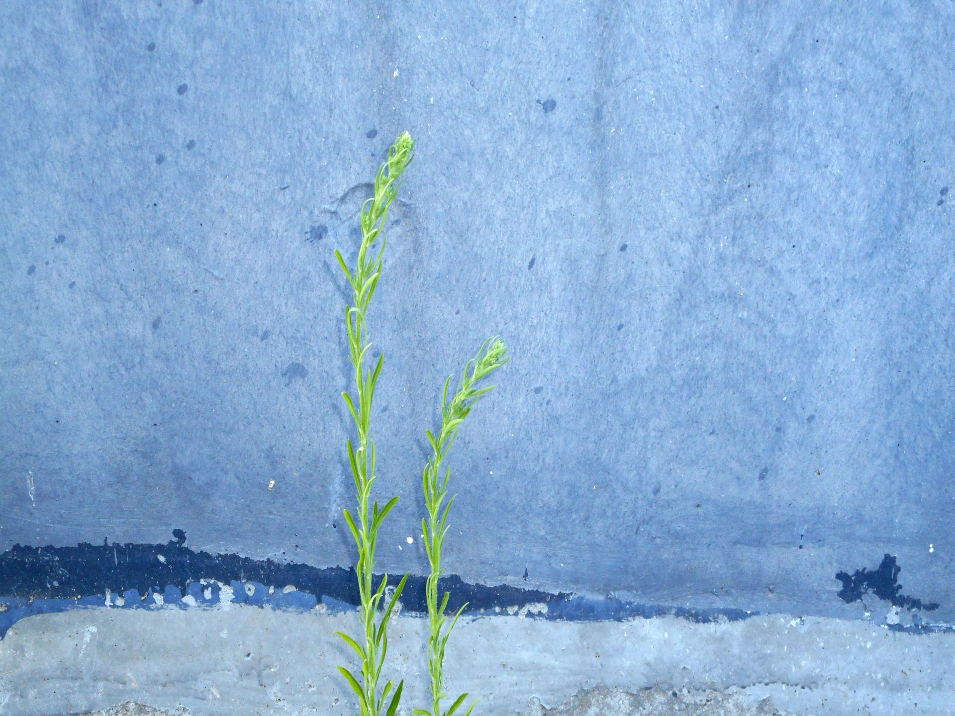 DSCN9427.JPG