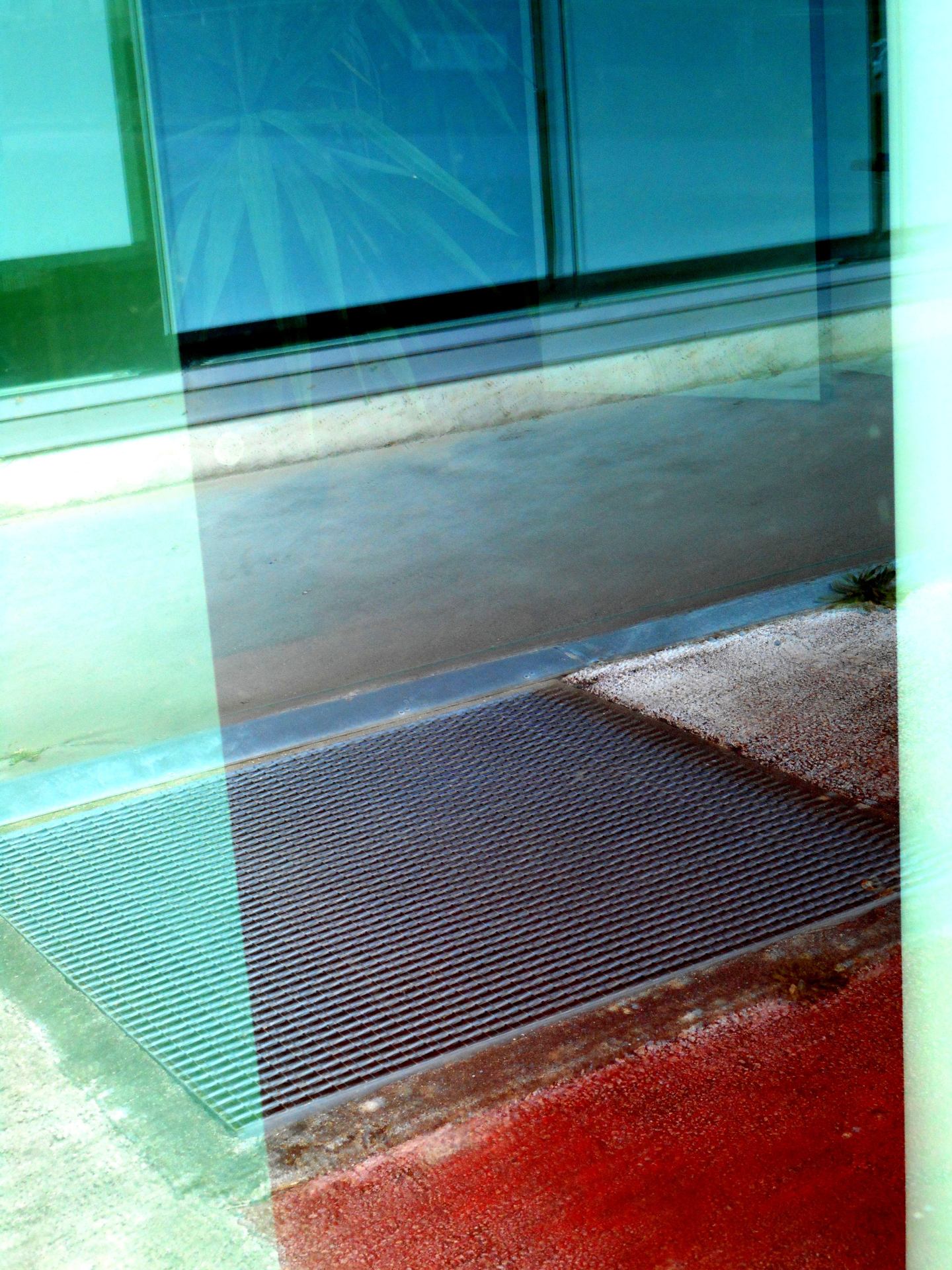 DSCN8870.JPG