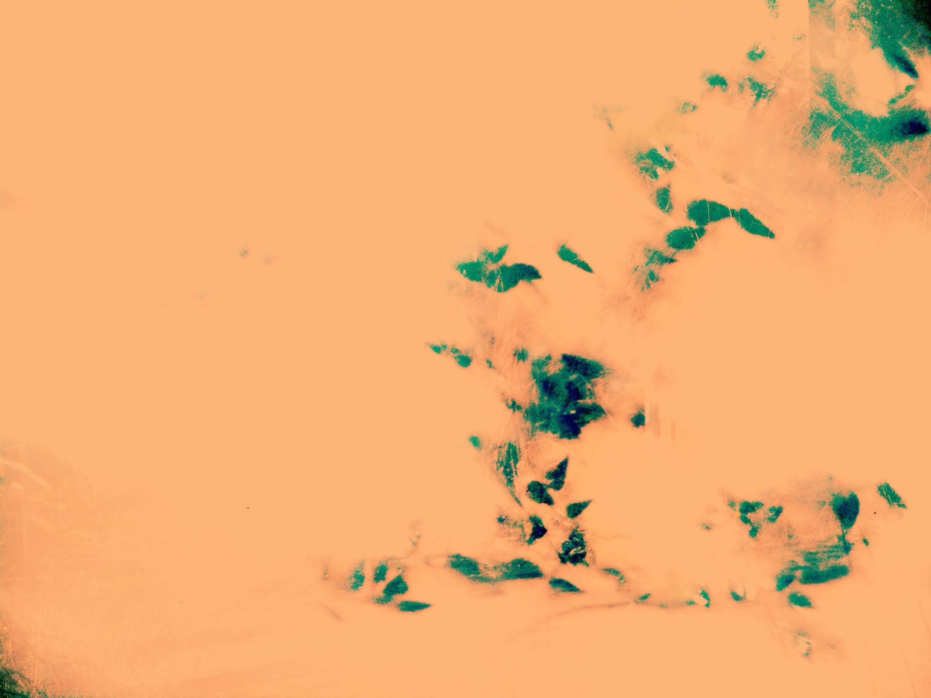 DSCN0331.JPG