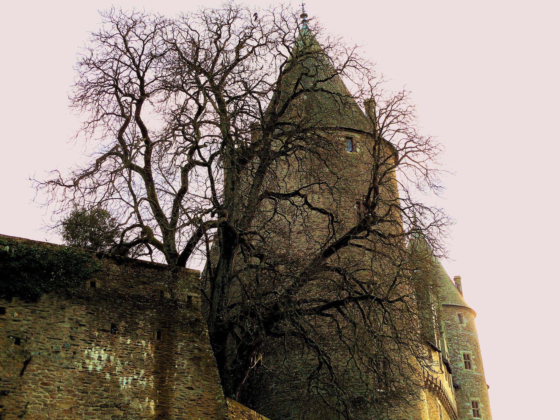 partie médiévale du château de Josselin