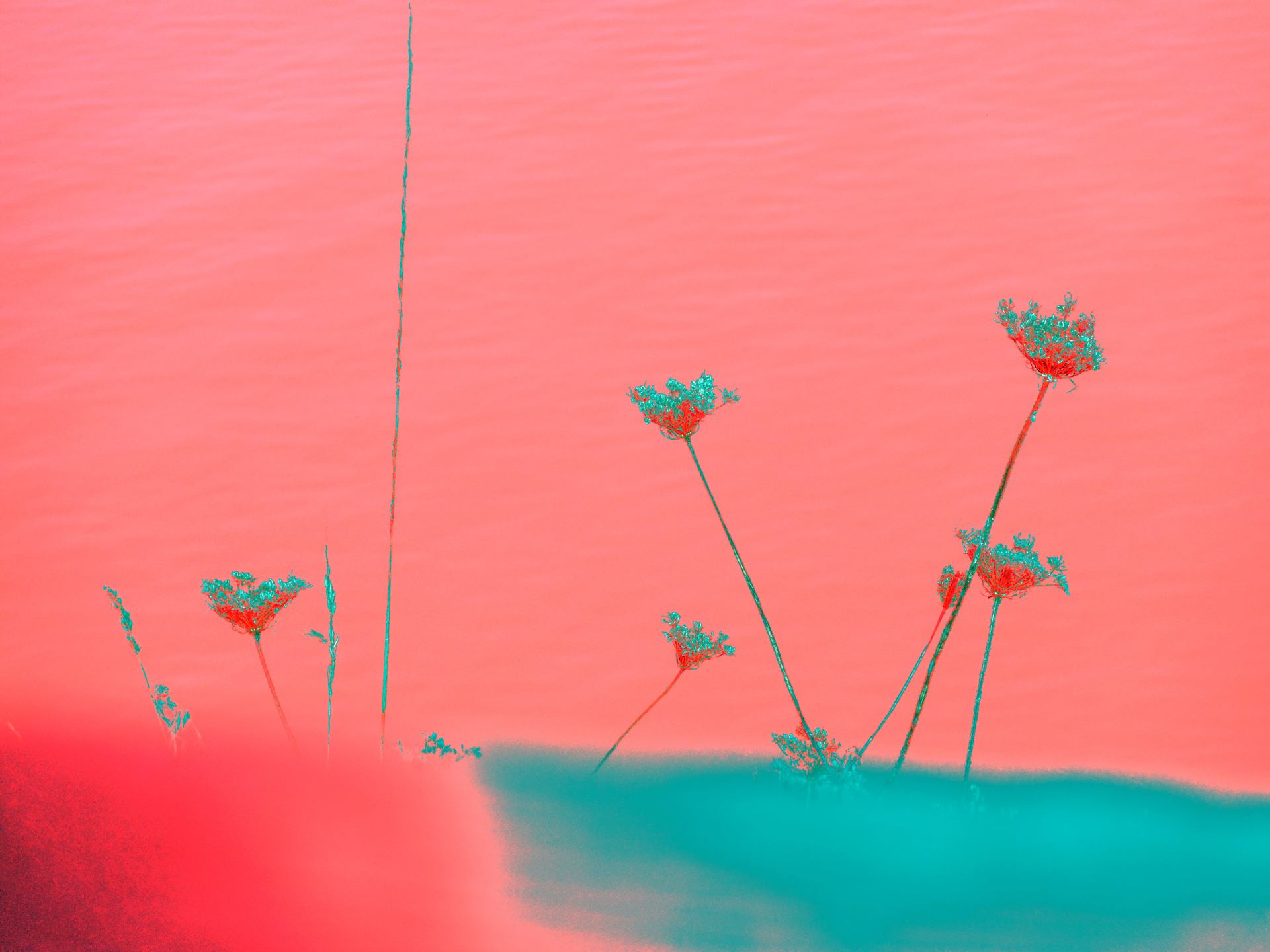 en attendant la décrue !!!