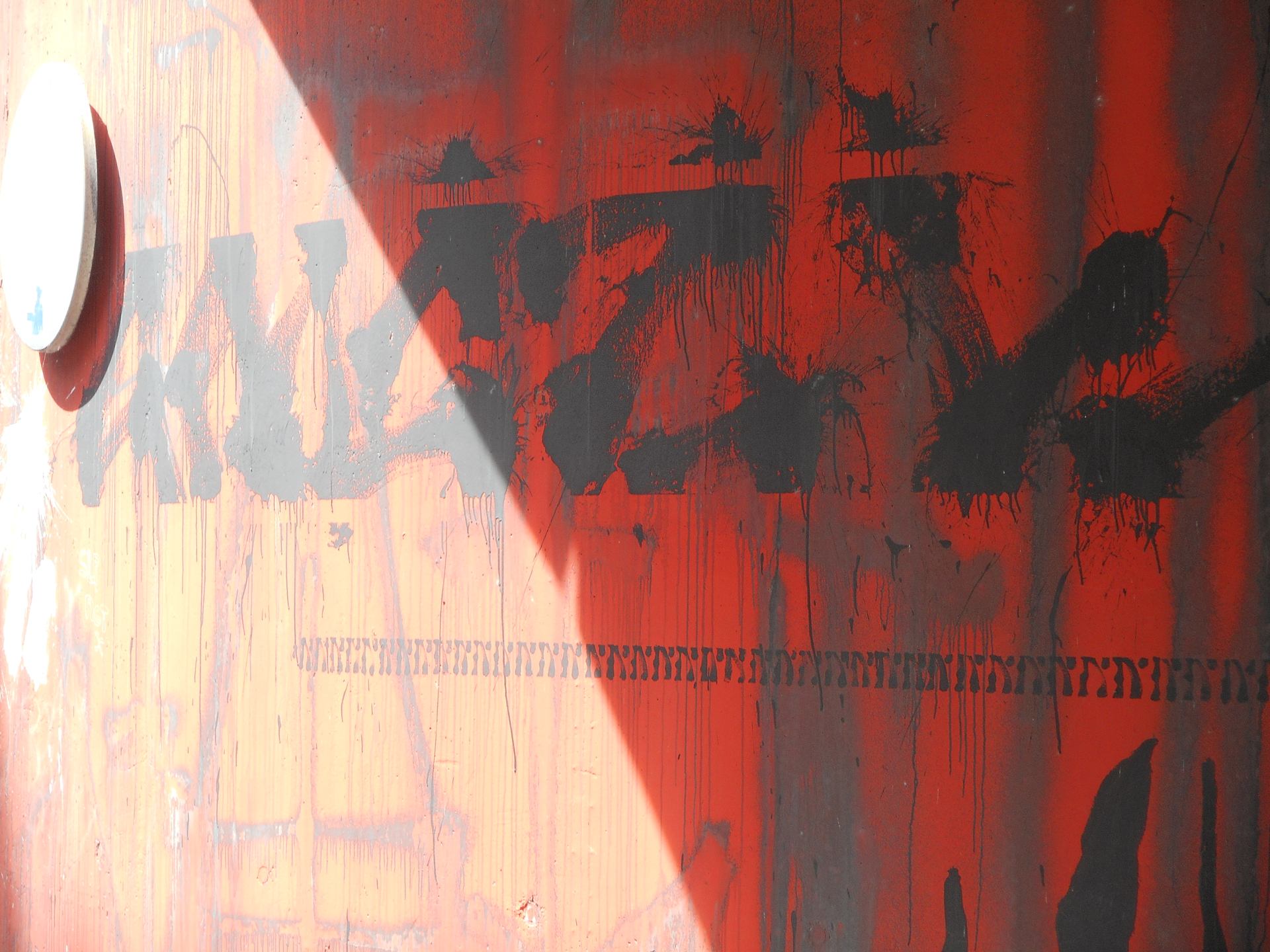 DSCN7828.JPG