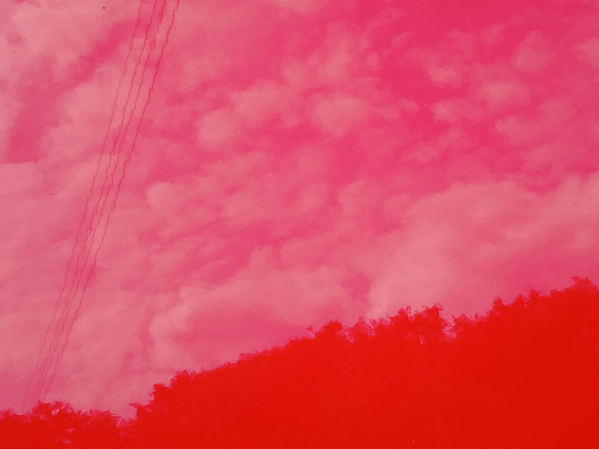 20260509_162733.jpg