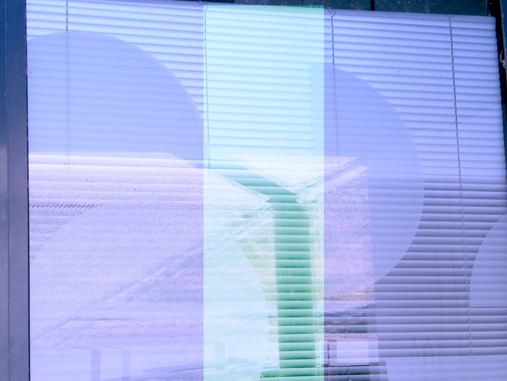 P1000109.JPG