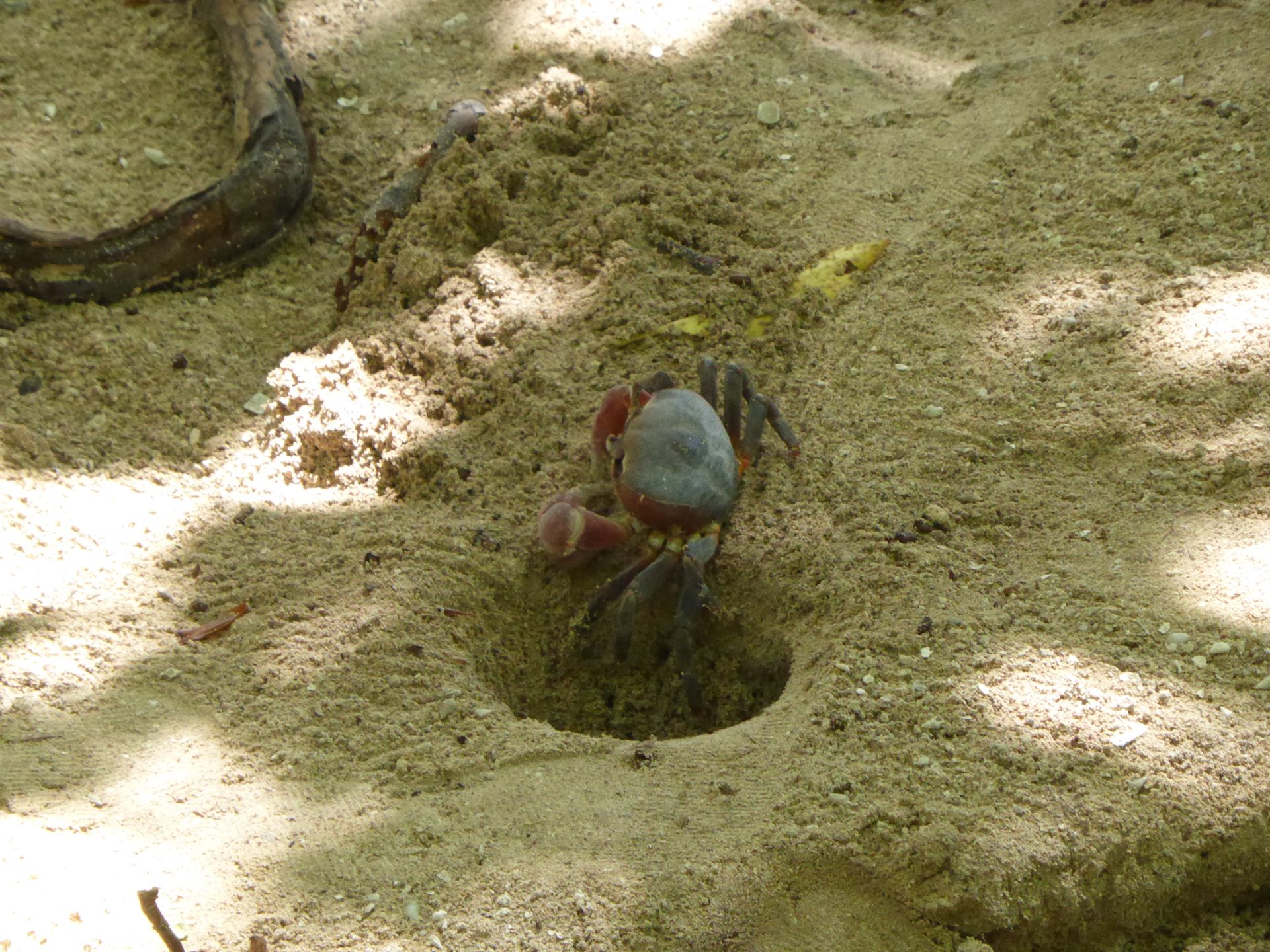 P1050462.JPG