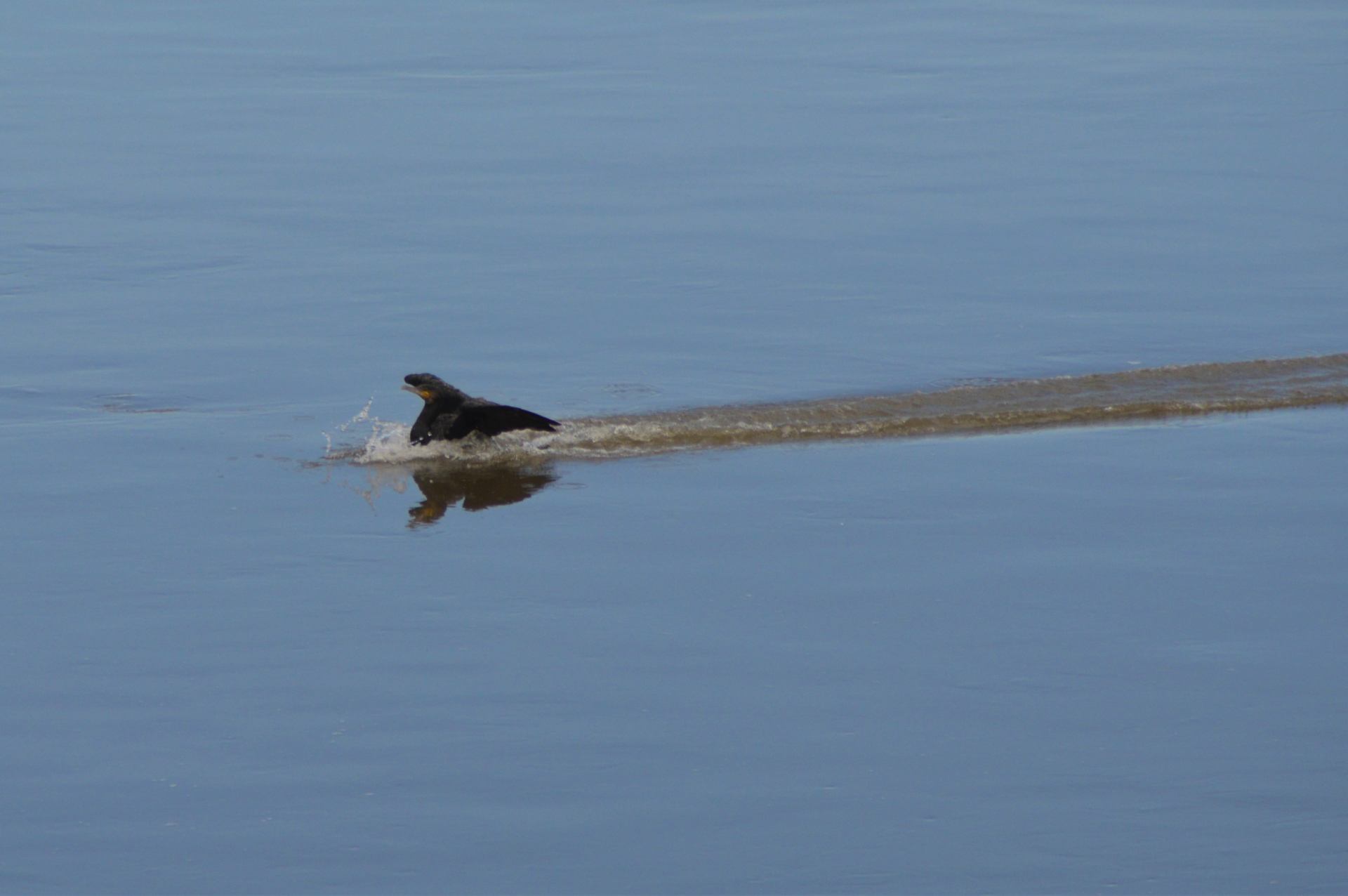 DSC_0125.JPG