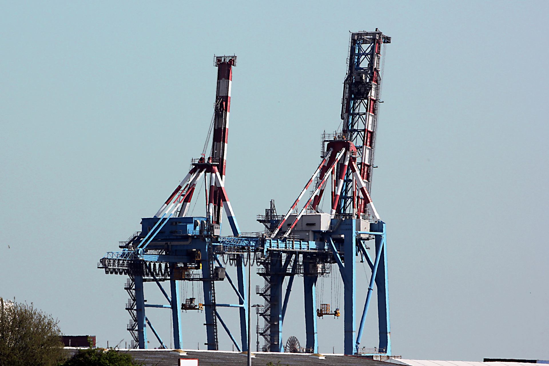 3 Grues de Saint Nazaire.jpg