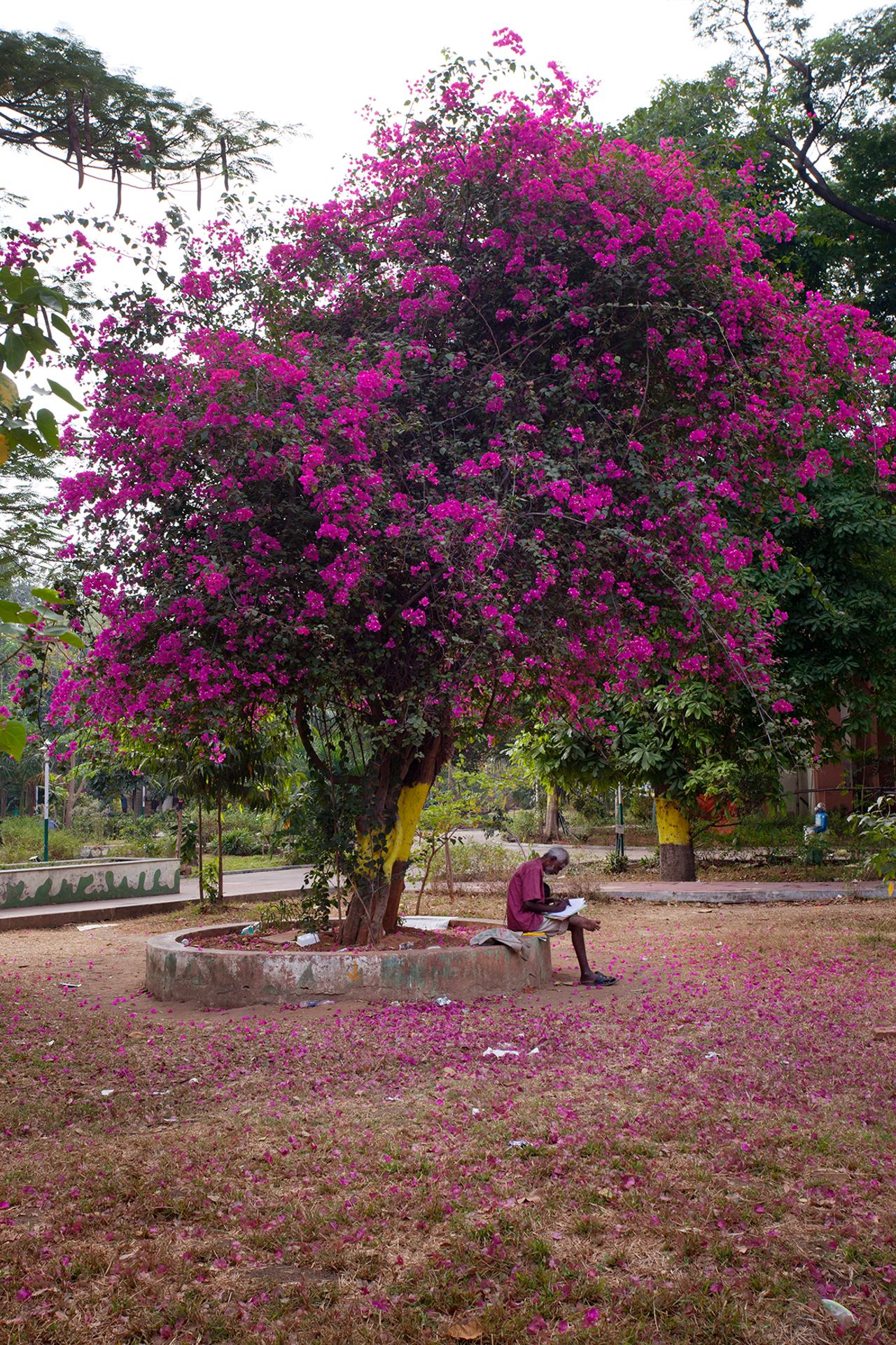 India-8020.jpg