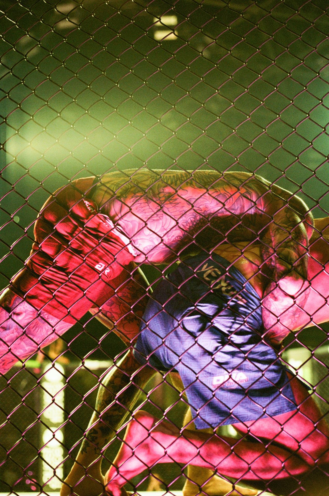 fLeSh