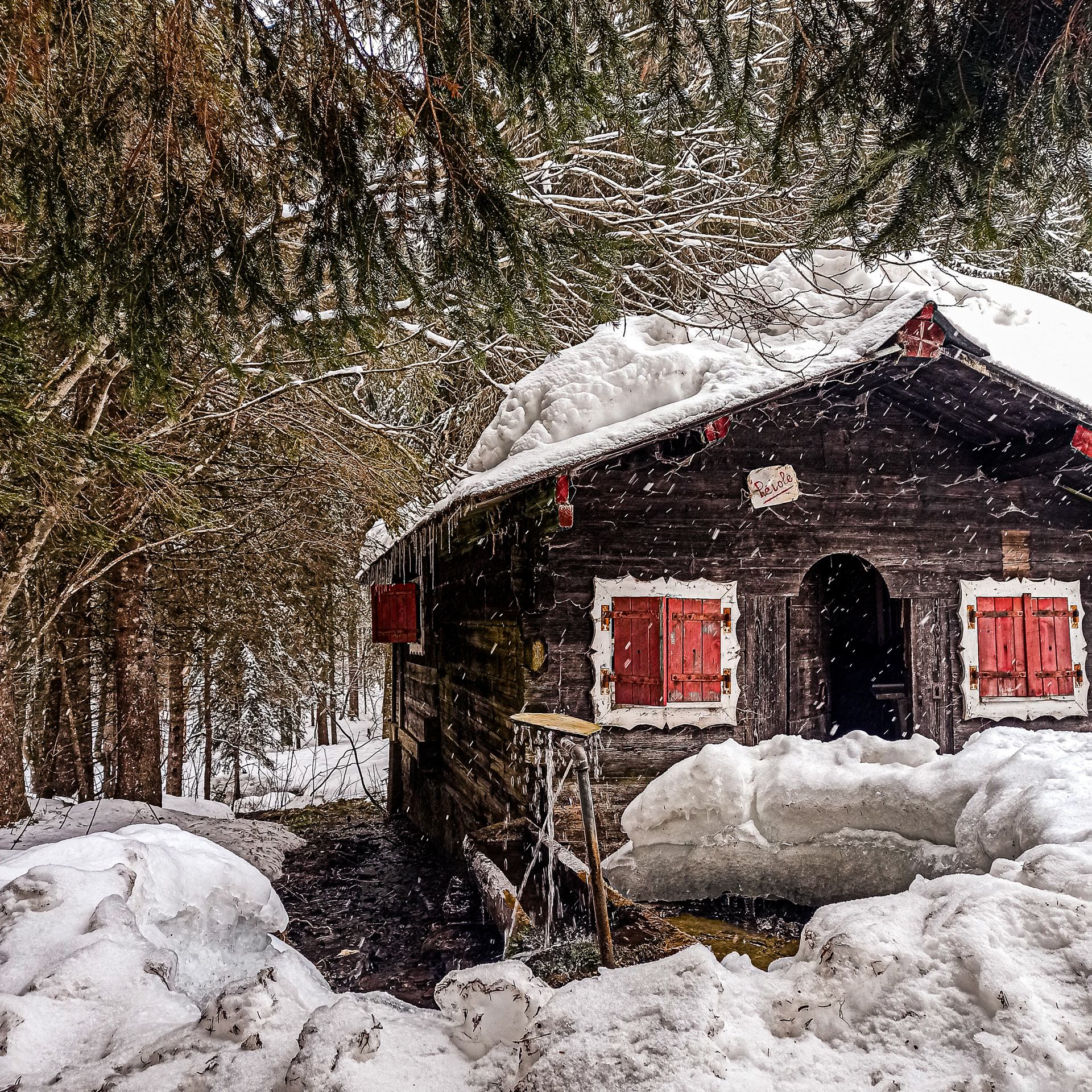 Little cabin
