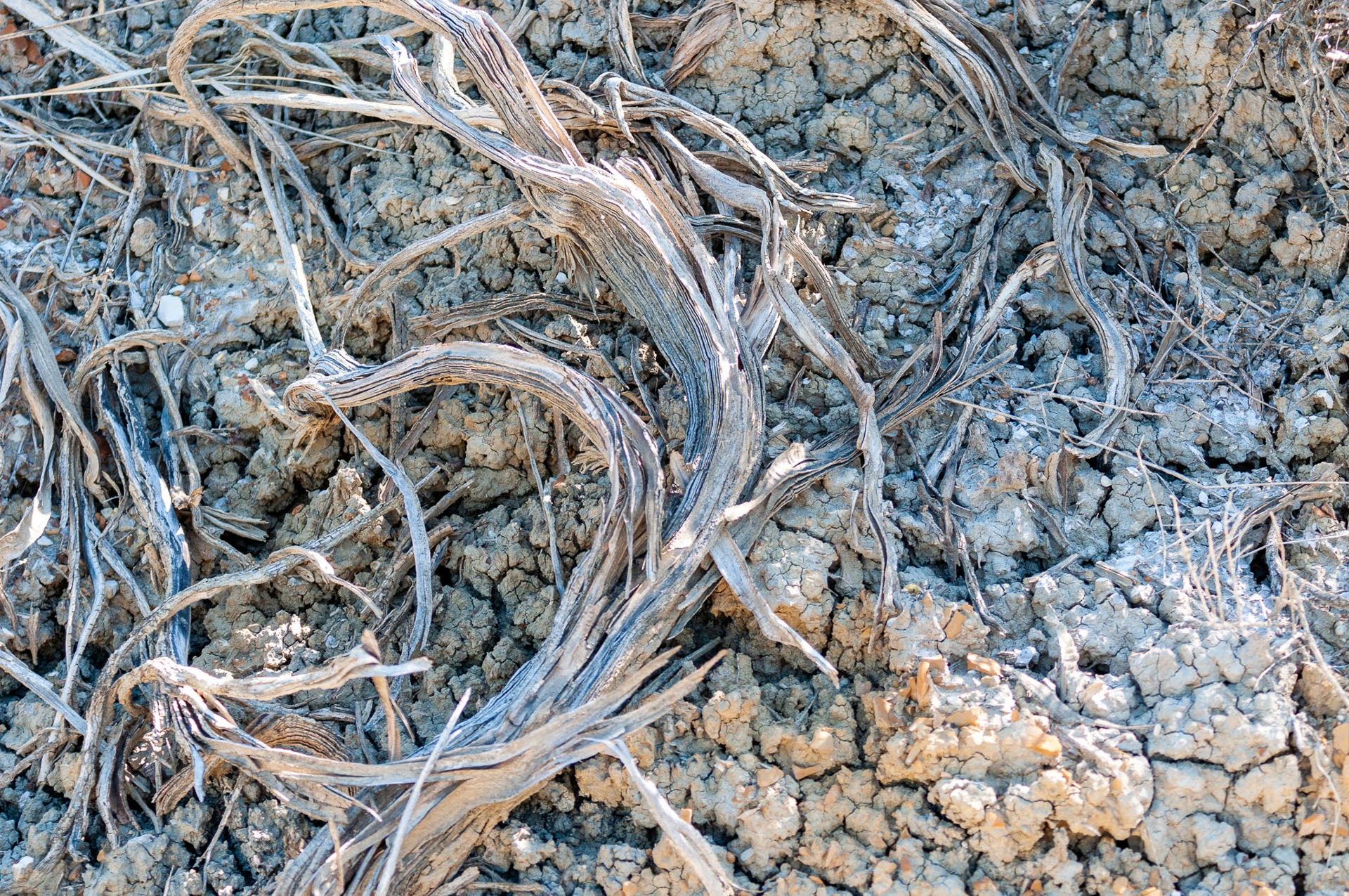 Dry