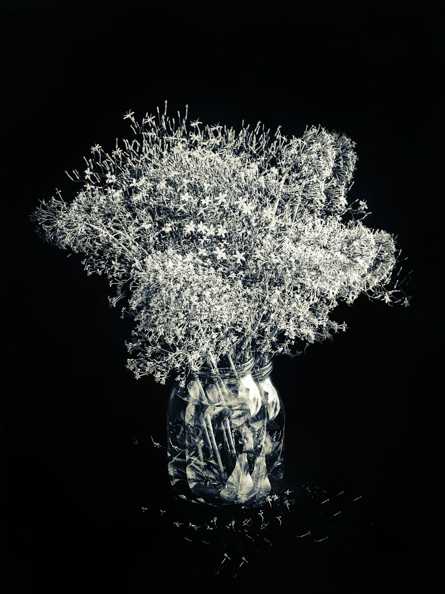 Je t'ai apporté des fleurs