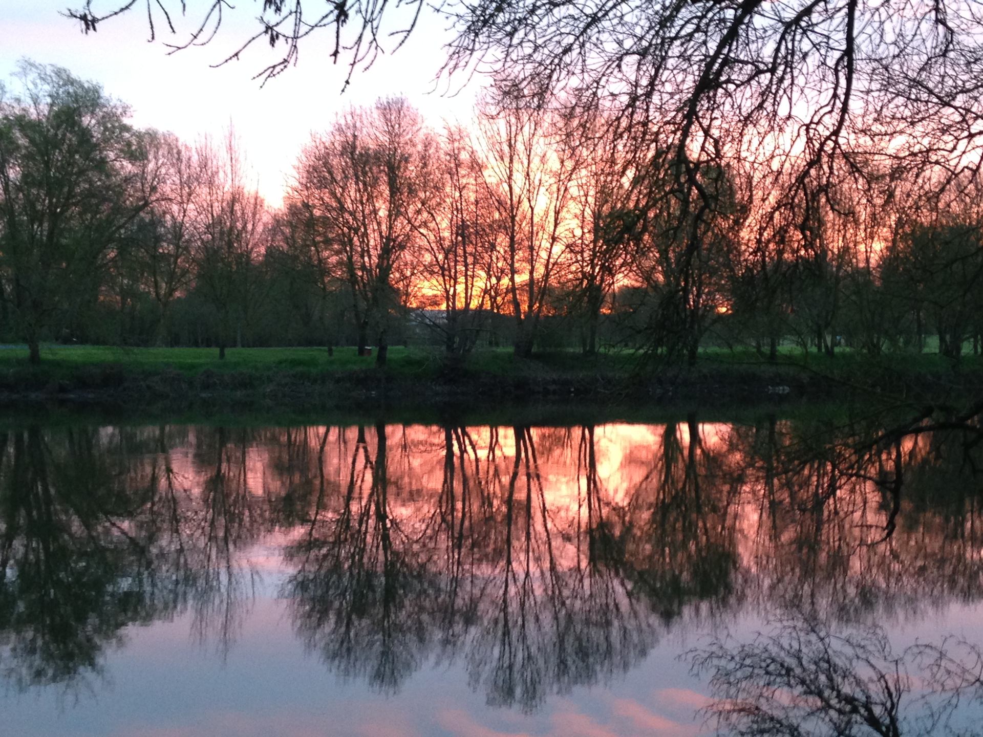 miroir des bords du thouet, saumur