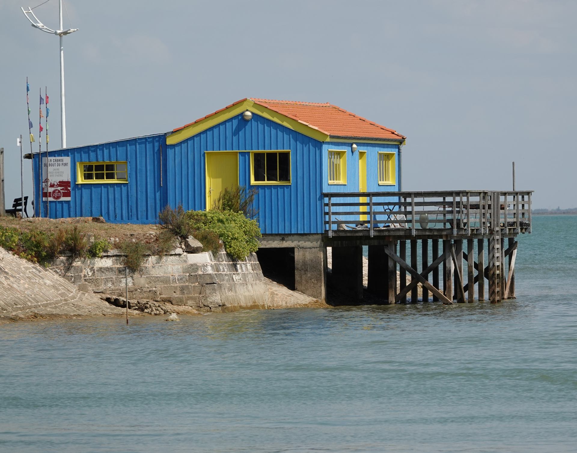DSC01914.JPG