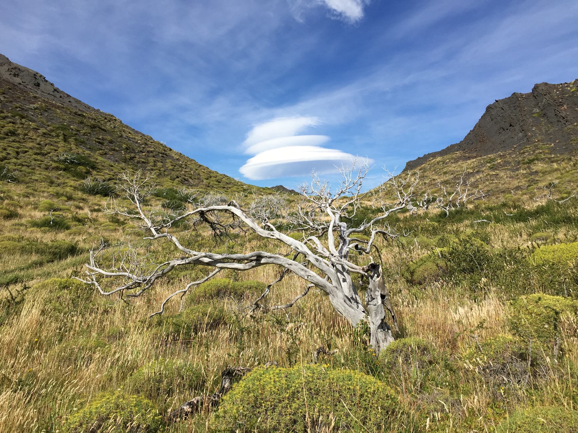 Lenticular cloud decorating windy Patagonia