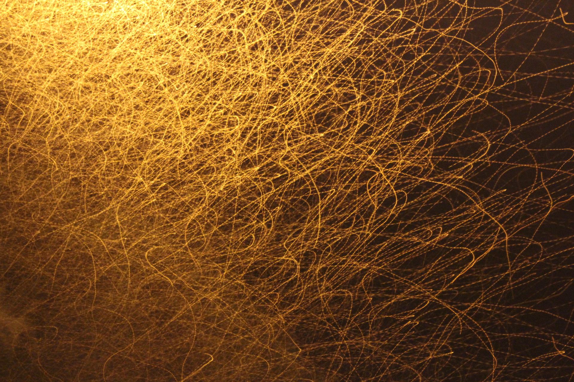 Two seconds in the life of flying insects around a light source