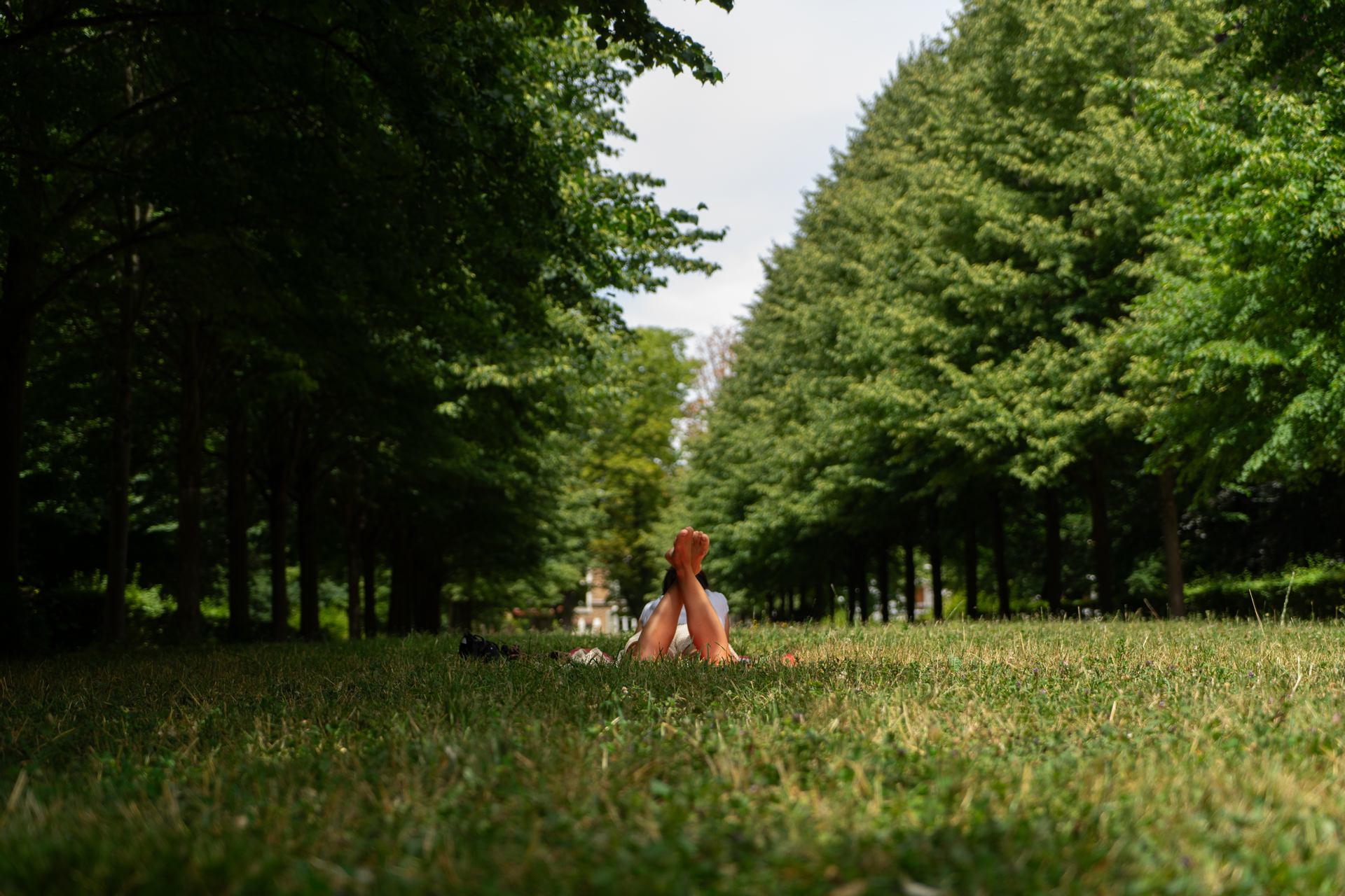 Lectrice en herbe
