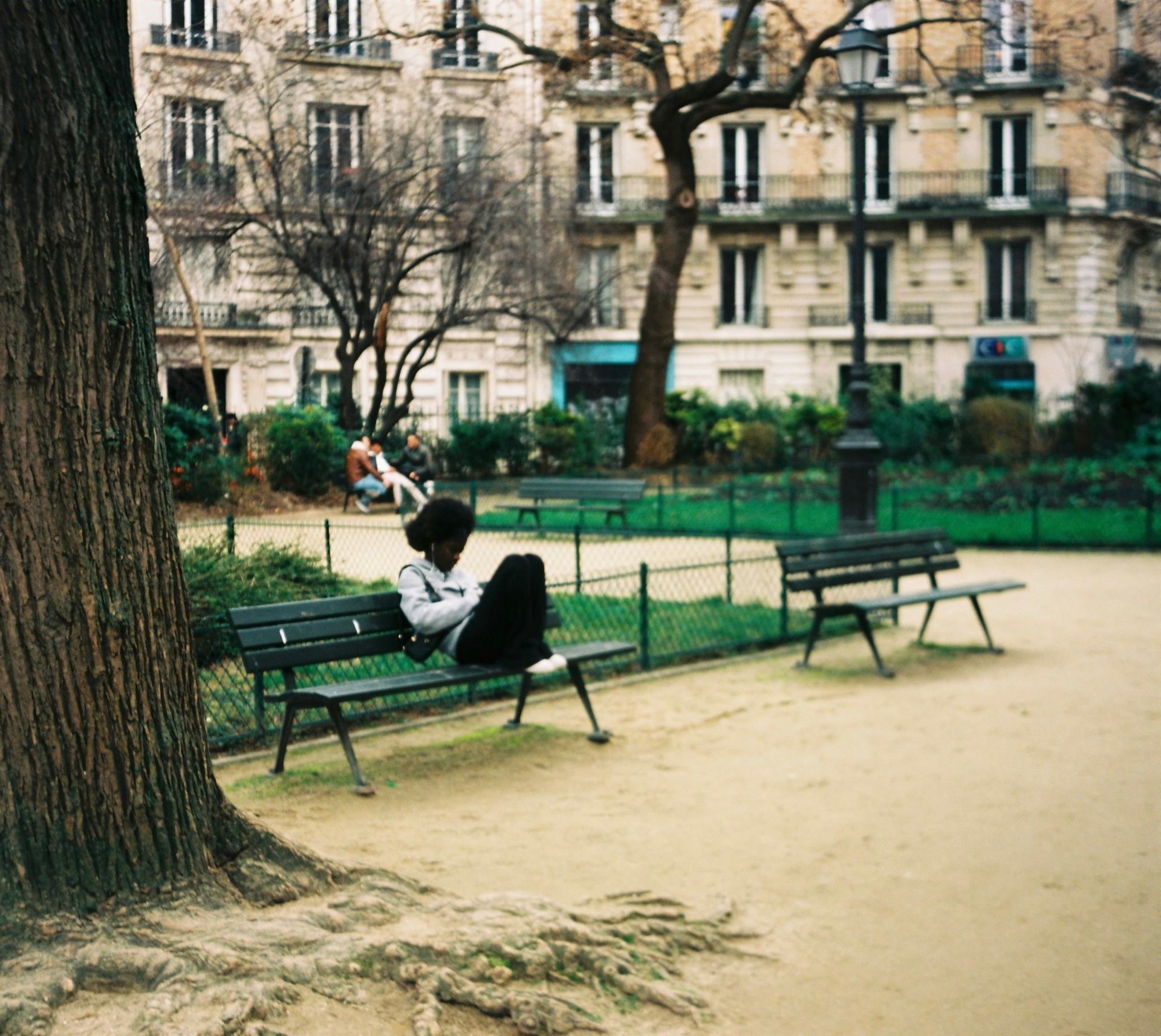 jardin.JPG