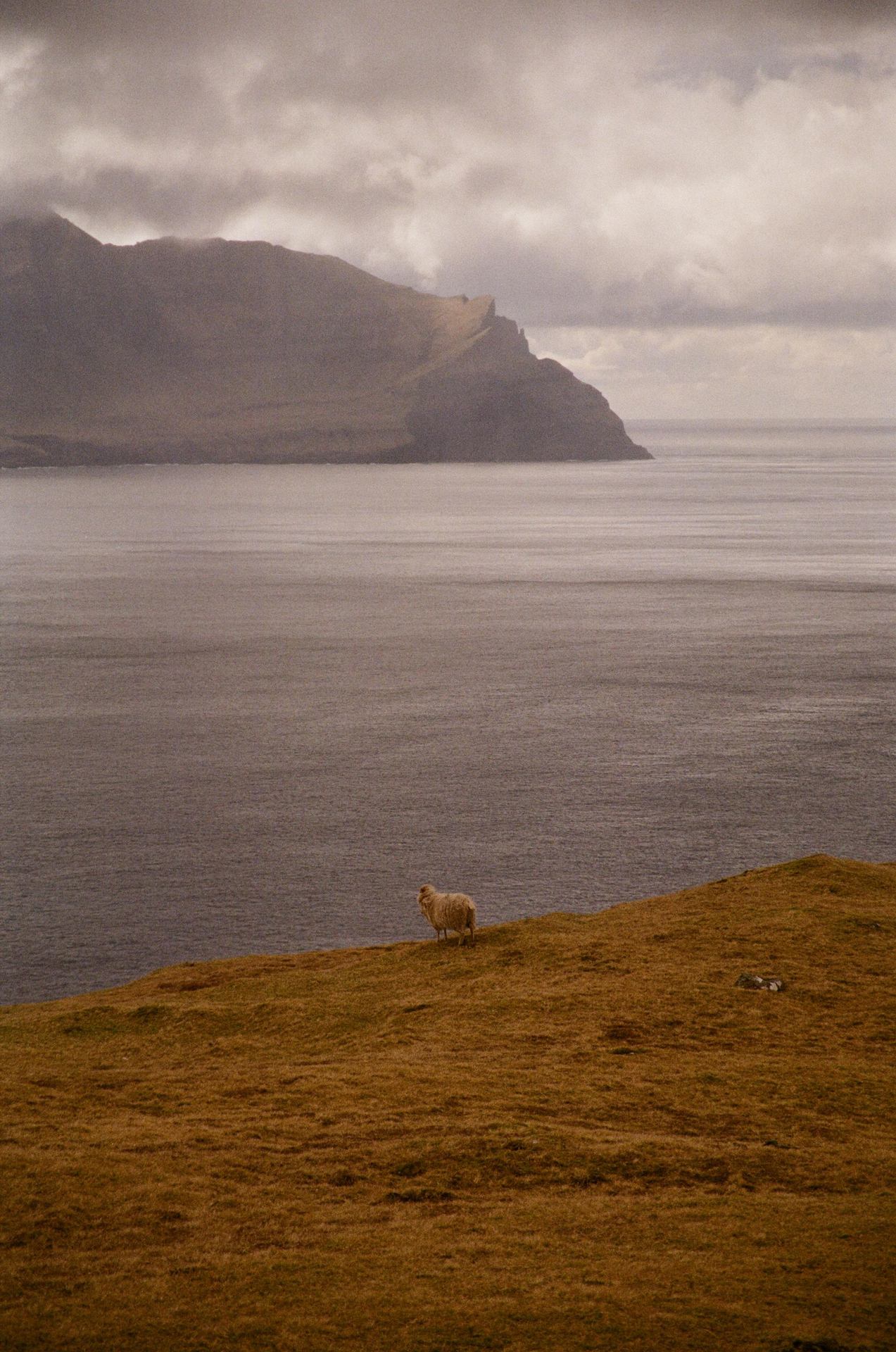 Looking out to the sea