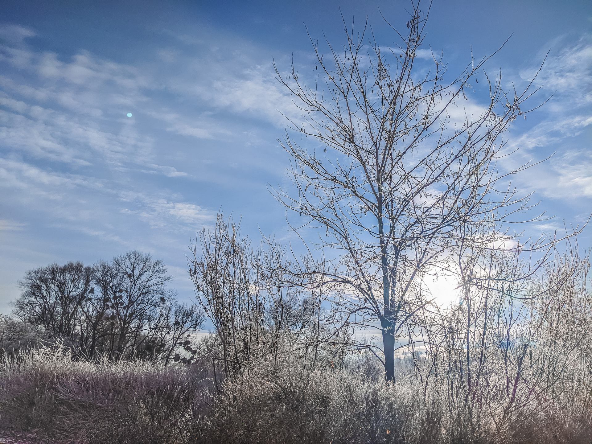 Le temps d'un hiver.jpg