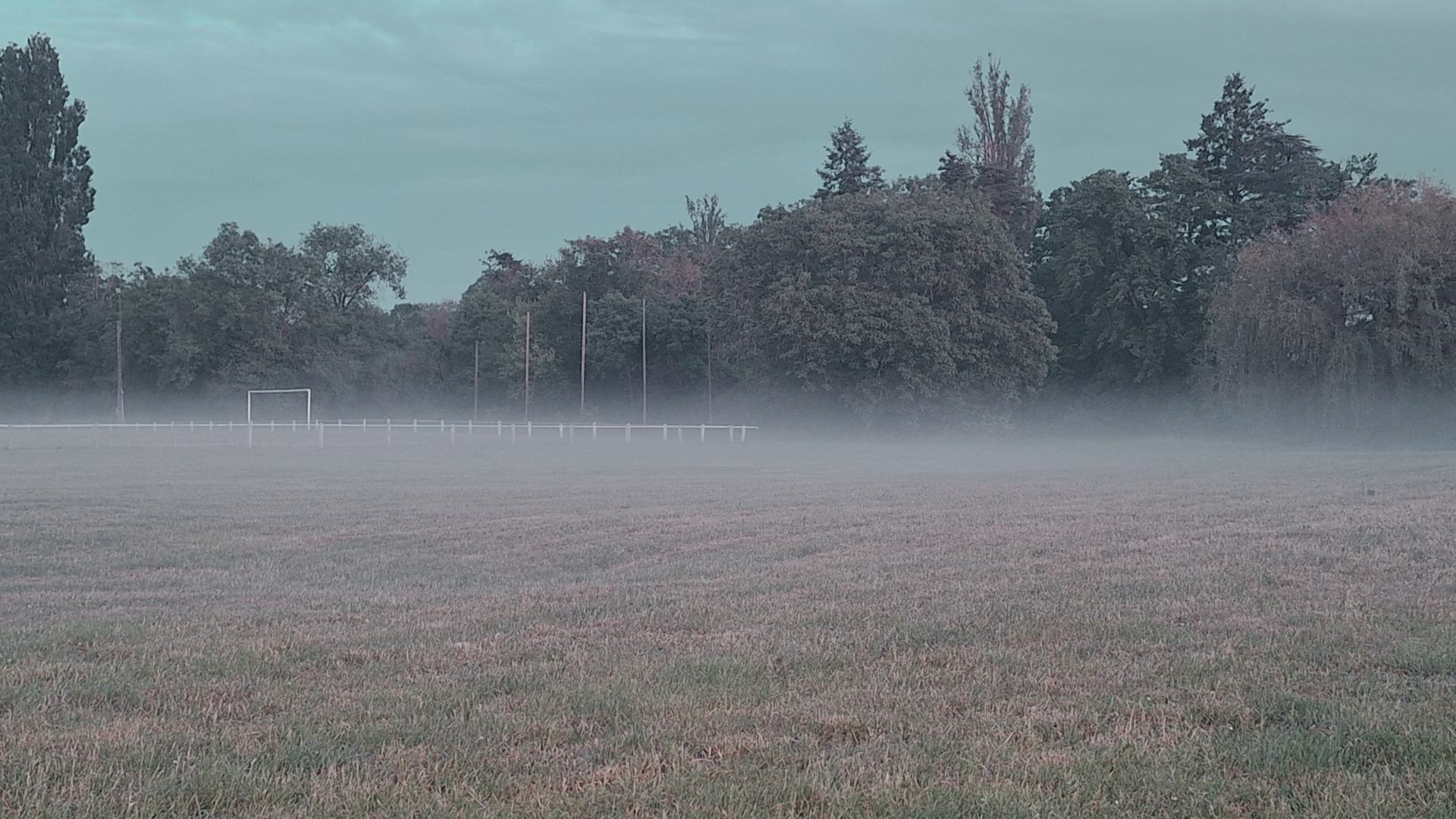 Brume au stade