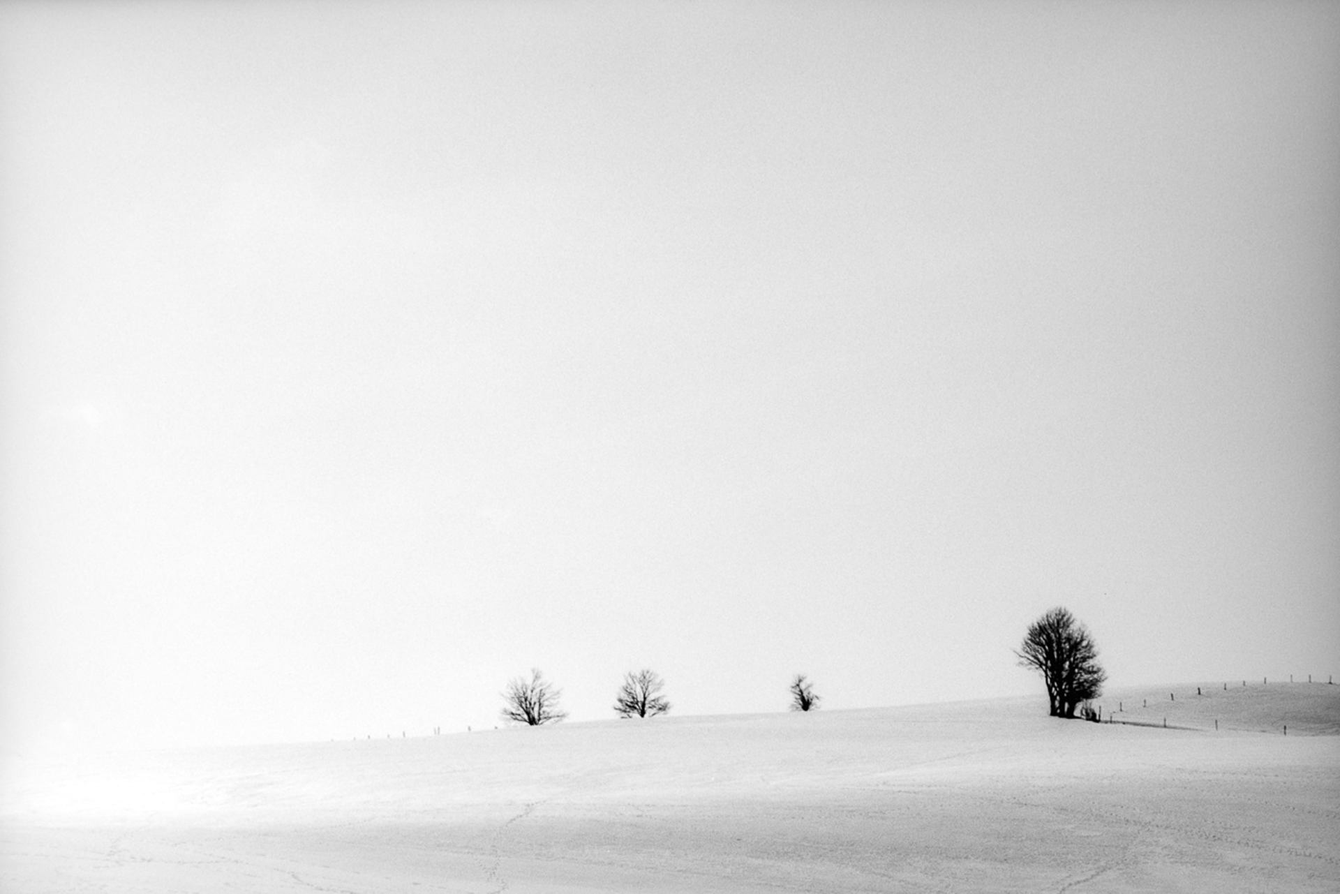 Presque