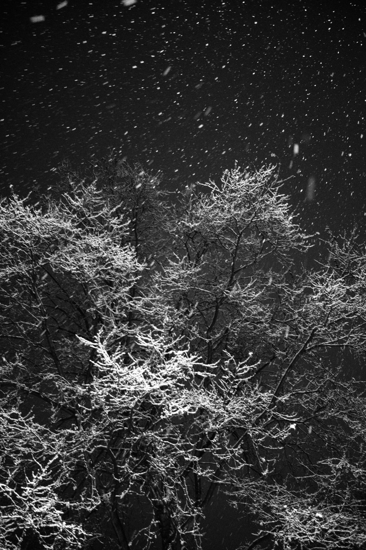 Déambulation post réveillon