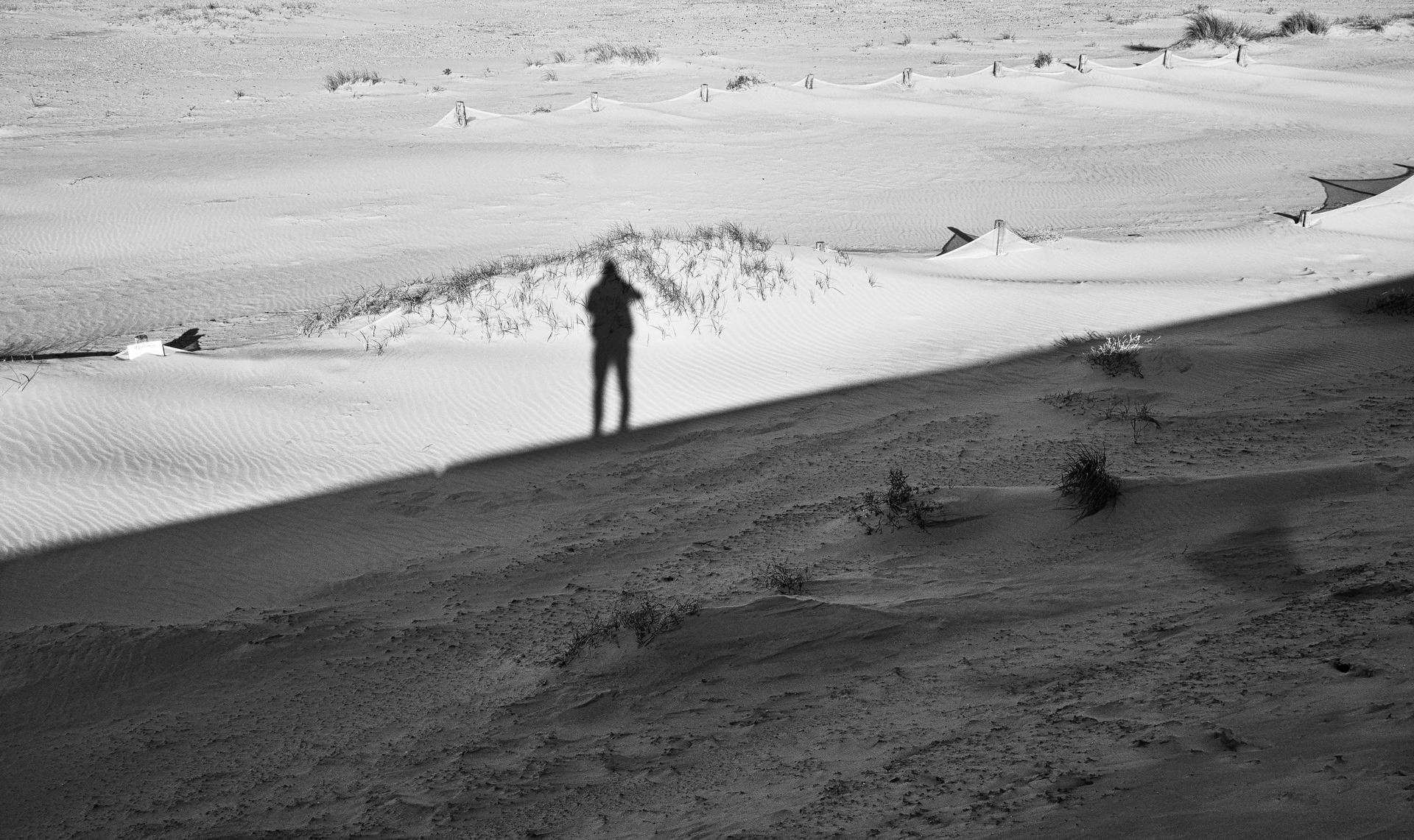 l'ombre de soi-même.jpg