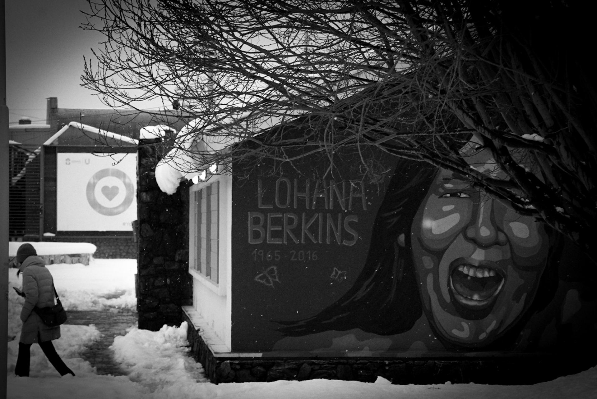 Lohana Berkins