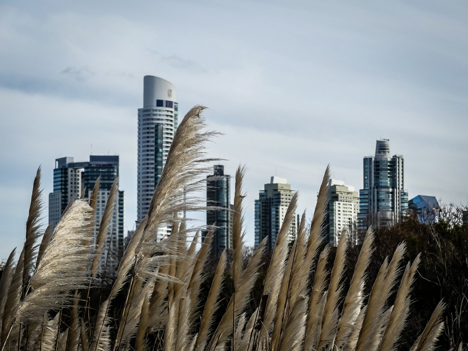 Urbanisme champêtre