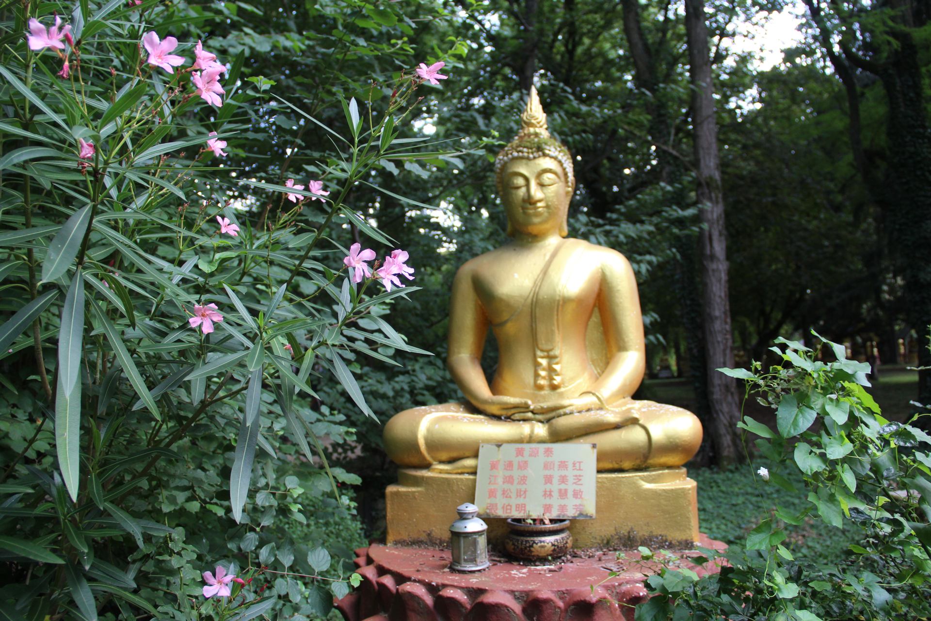 Temple boudhiste image 6