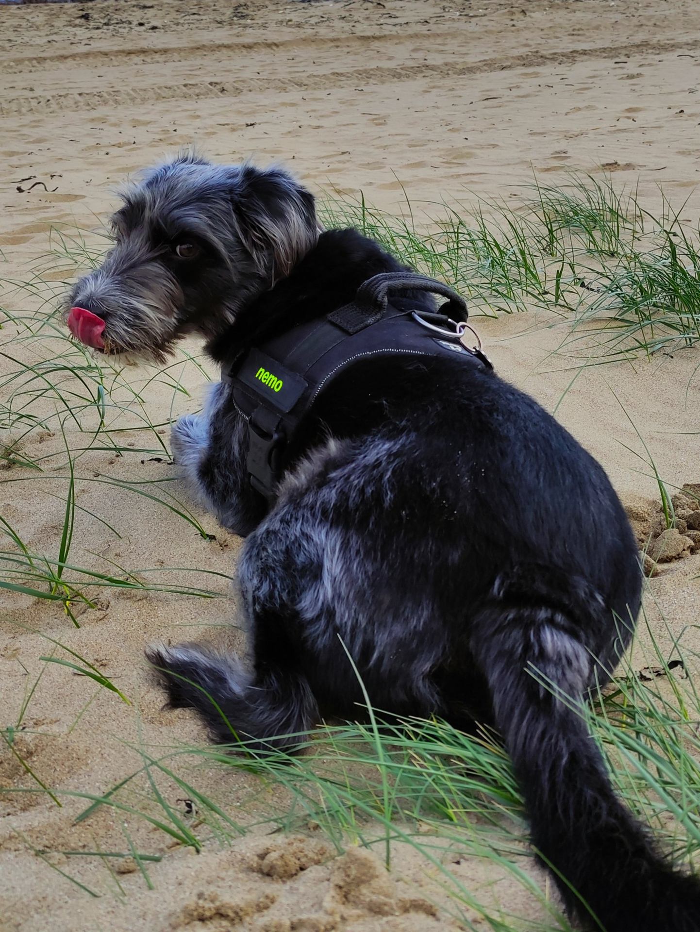 IMG_20210527_190501 (1).jpg