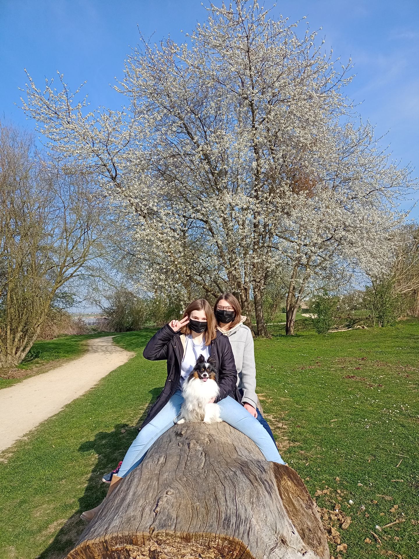 IMG20210404172610.jpg