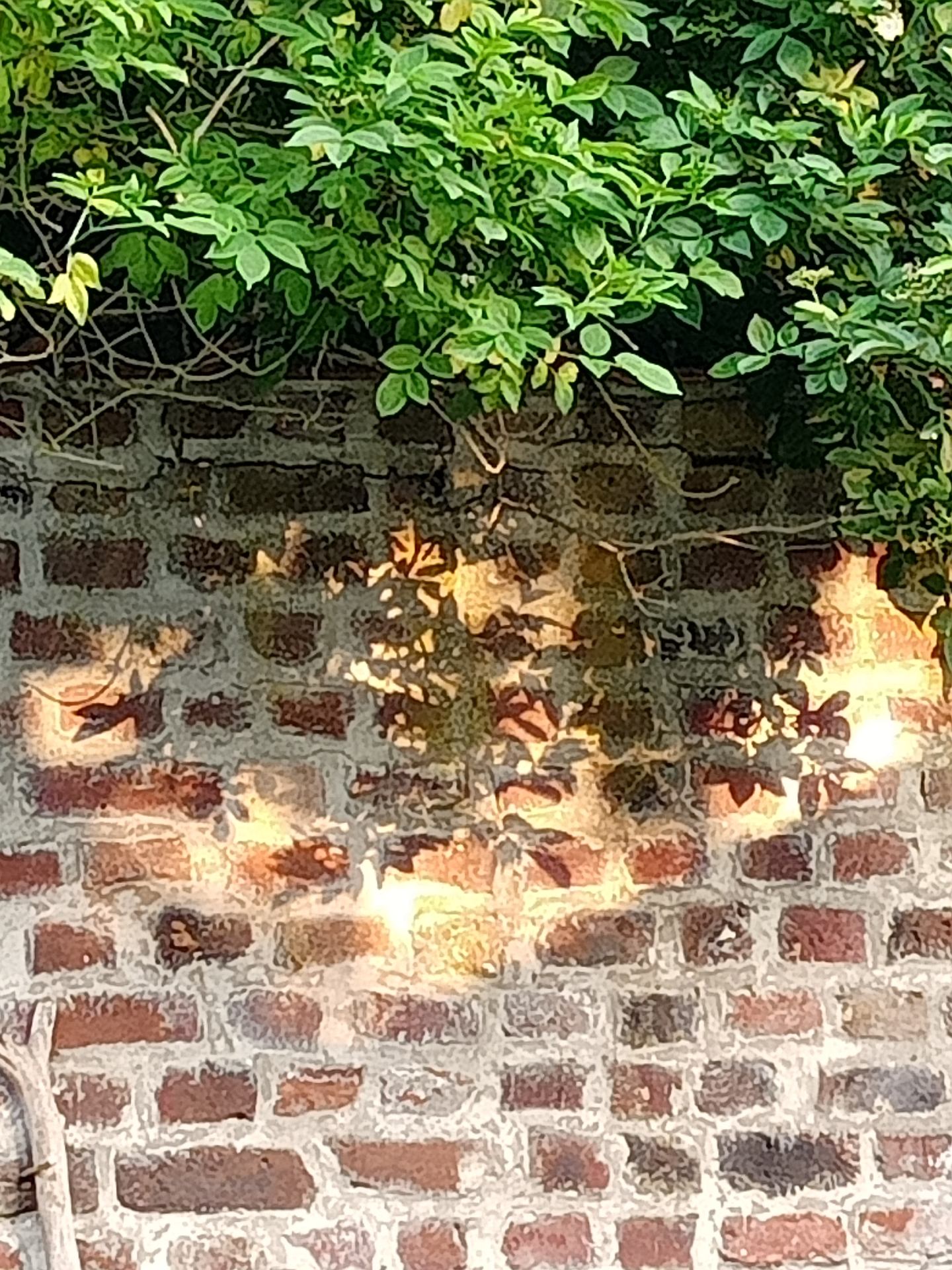 IMG20210529204212.jpg