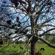 Classement final : 2018