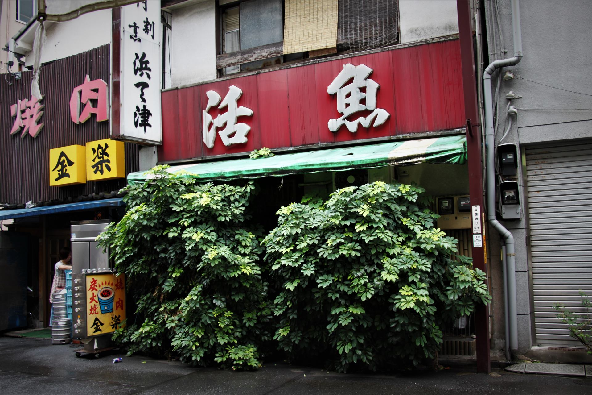 Tokyo