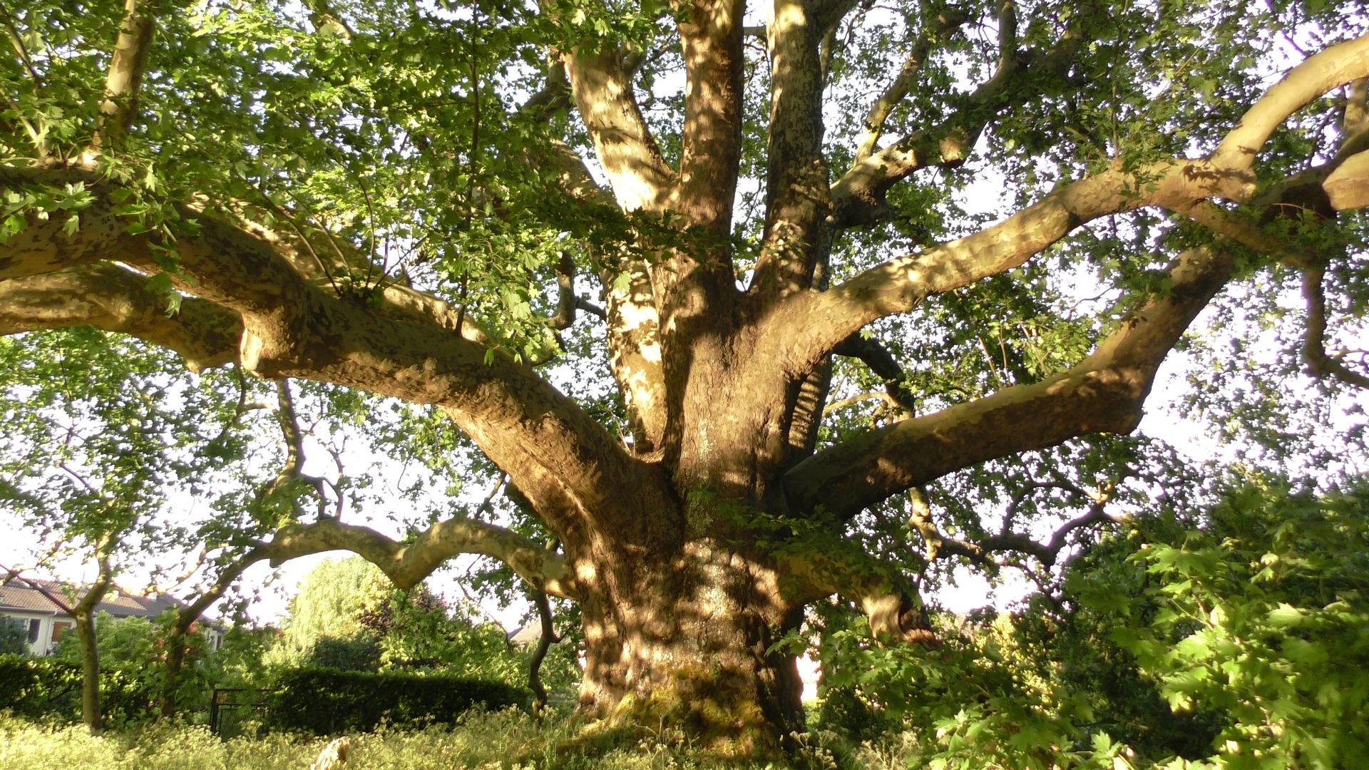S5080159.JPG