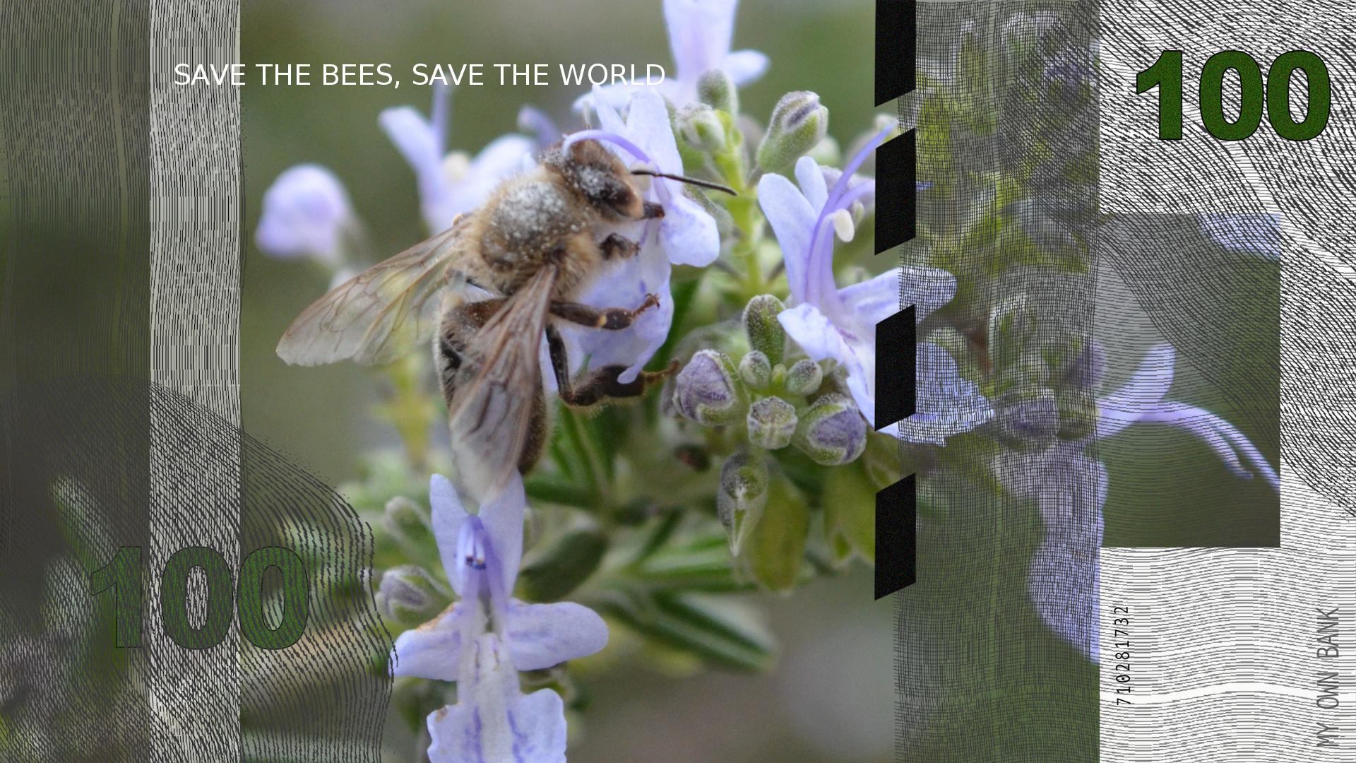 Save the Bees, Save the World