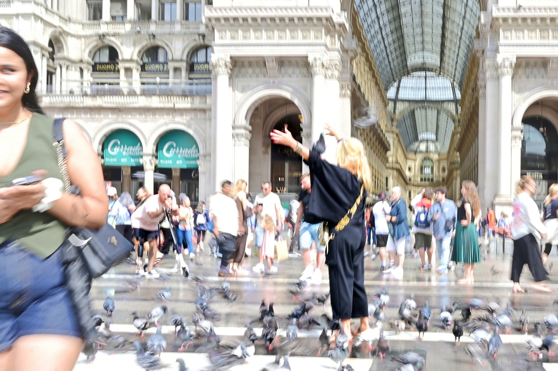 la femme et le pigeon