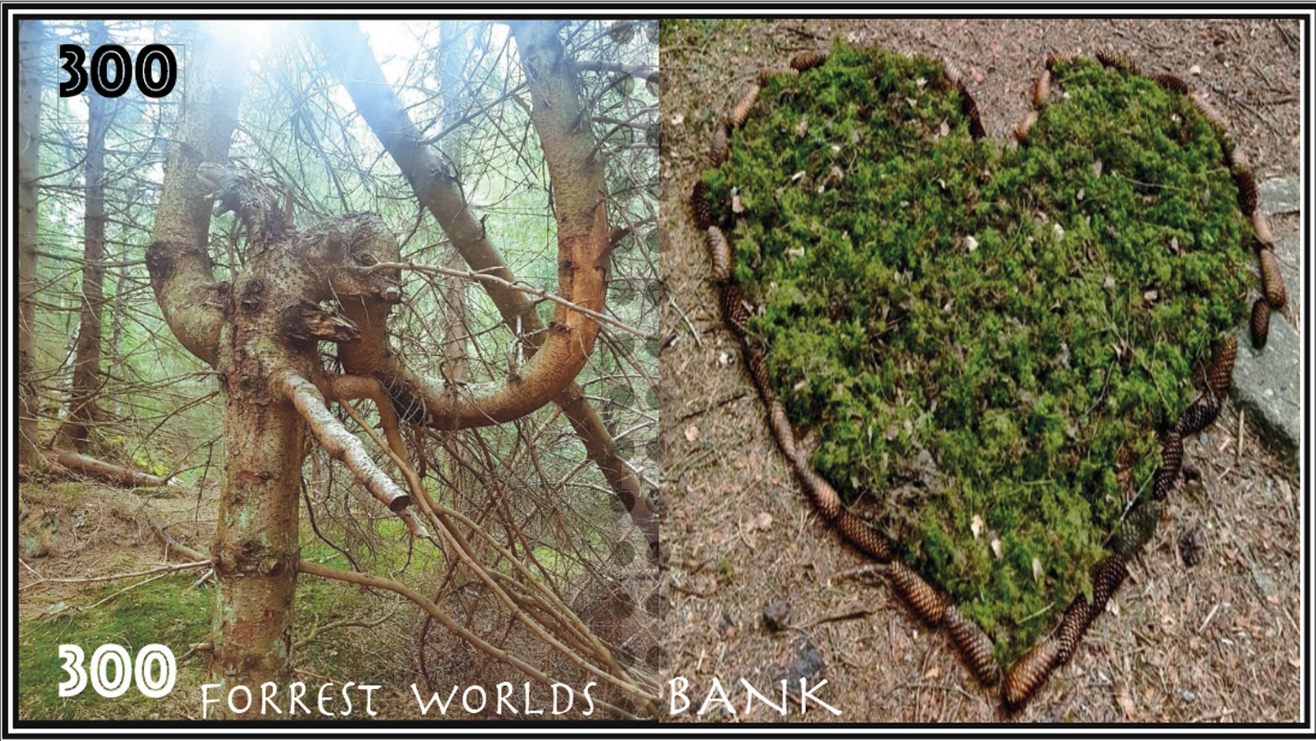 Forrest worlds bank.png