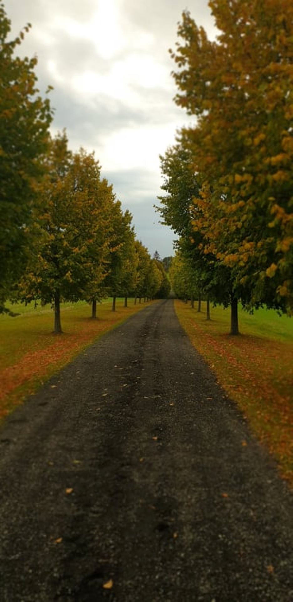 Autumn