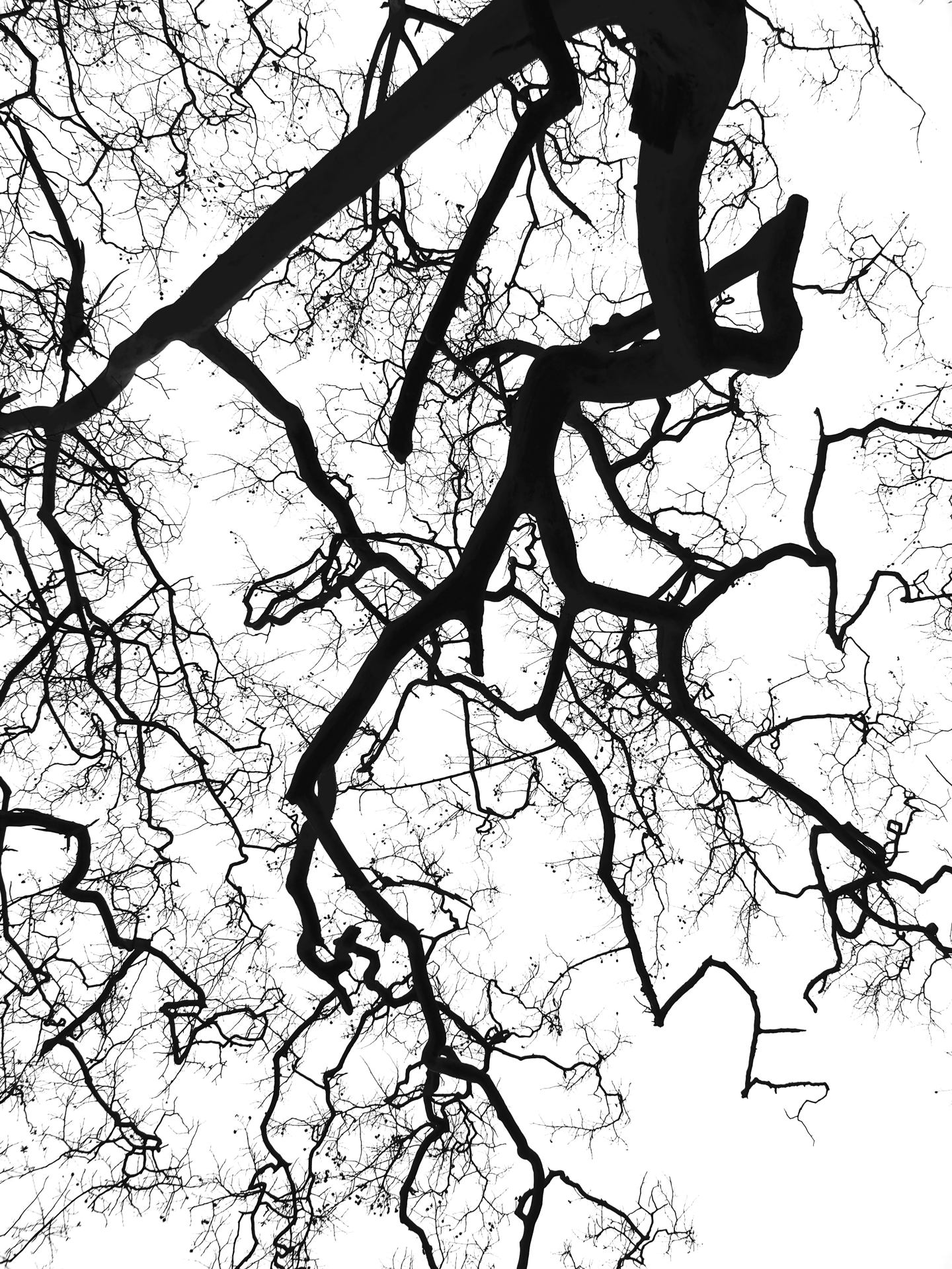 Trees 1.jpg