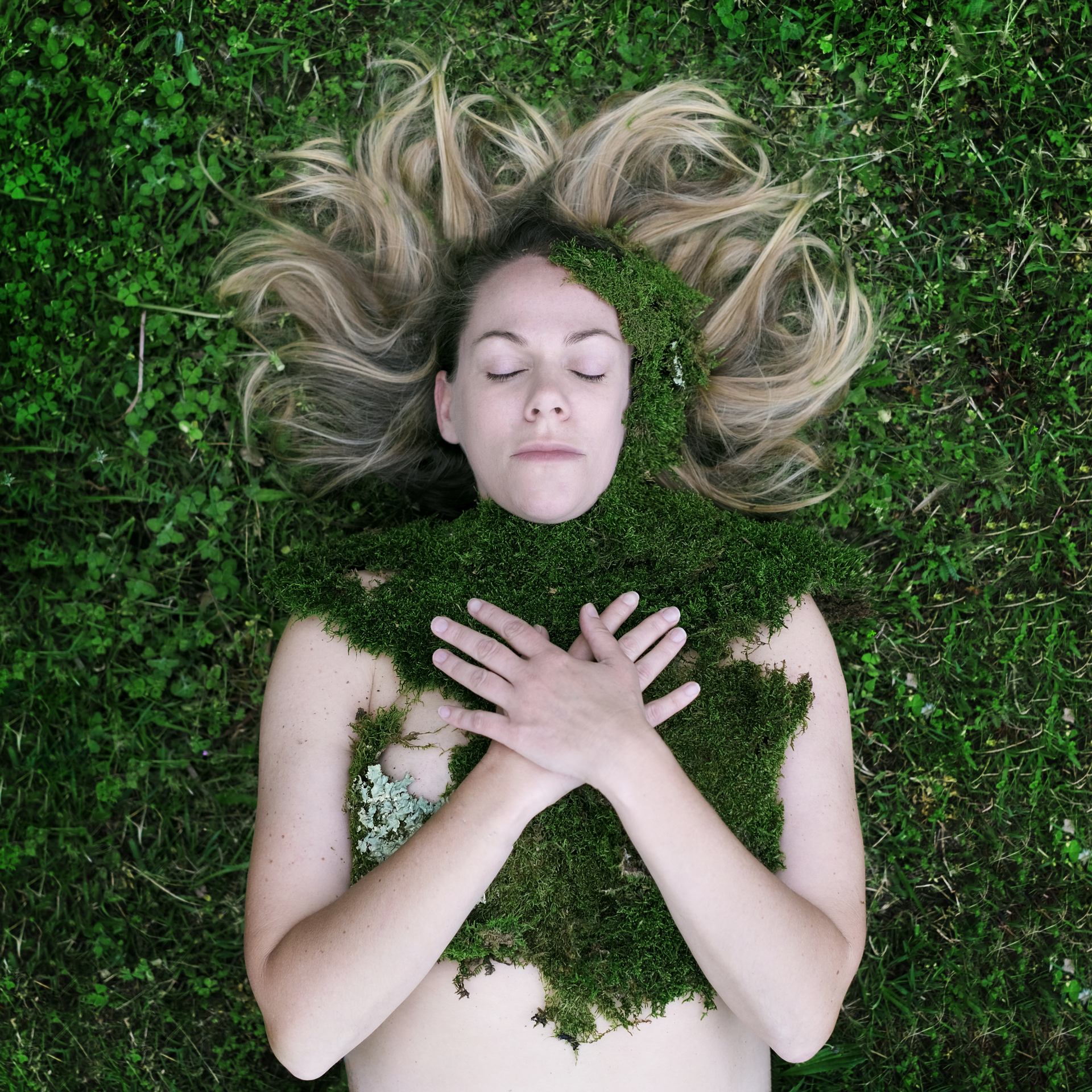 Caméléon printanier