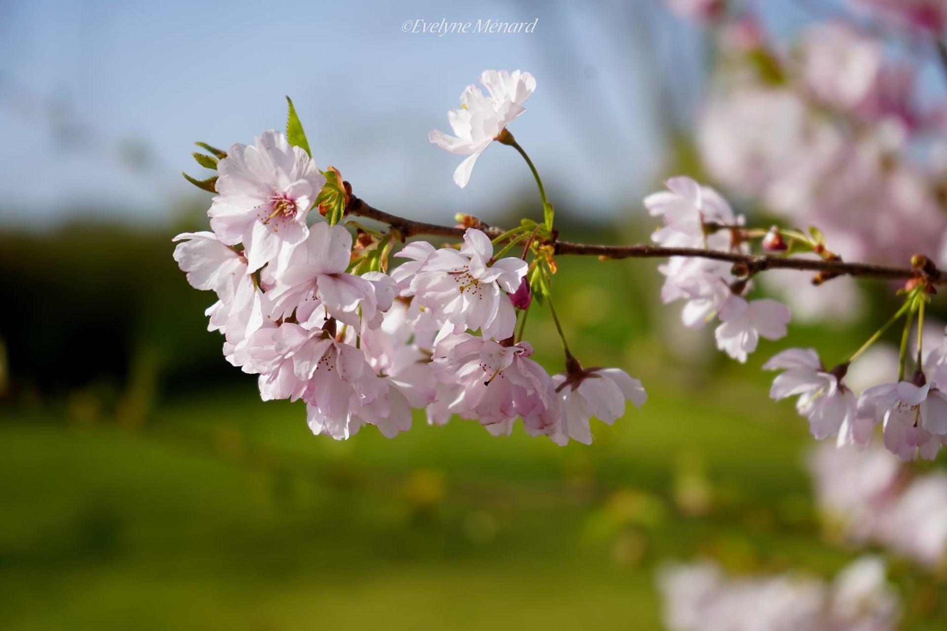 62224A7F-C5FD-467F-95E3-FE7291365D01.jpeg
