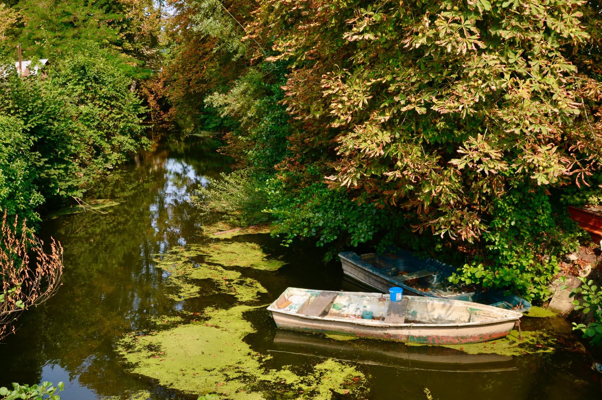 SCEY sur Saône 906.JPG