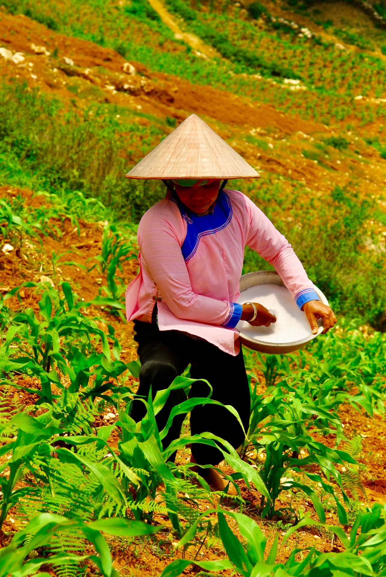 Ethnie DZAI SAPA 034.jpg