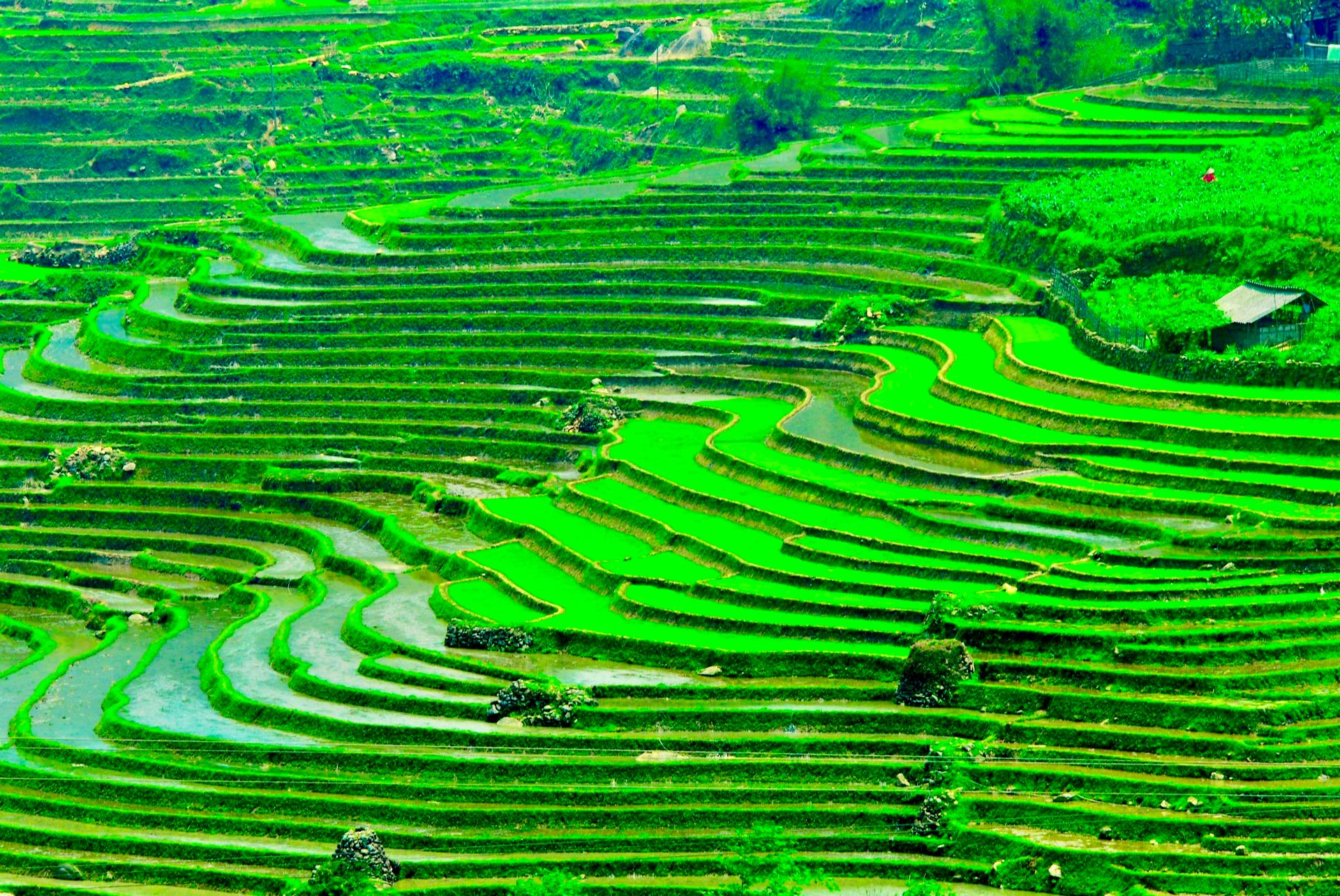 SAPA 038 2.jpg