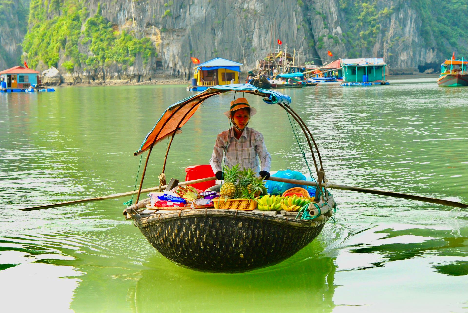 BAIE D'HALONG_4525.JPG