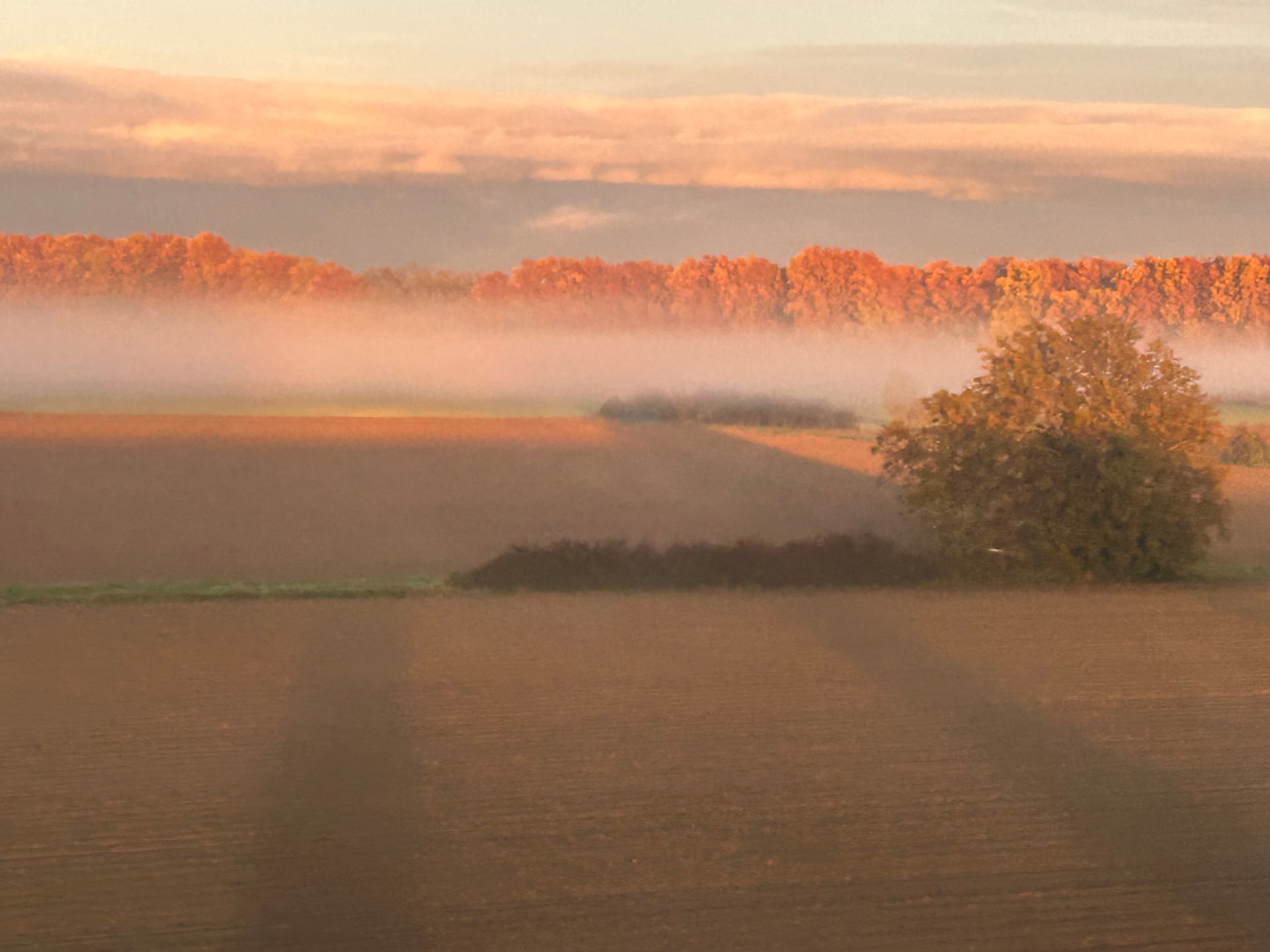 De ma fenêtre du TGV