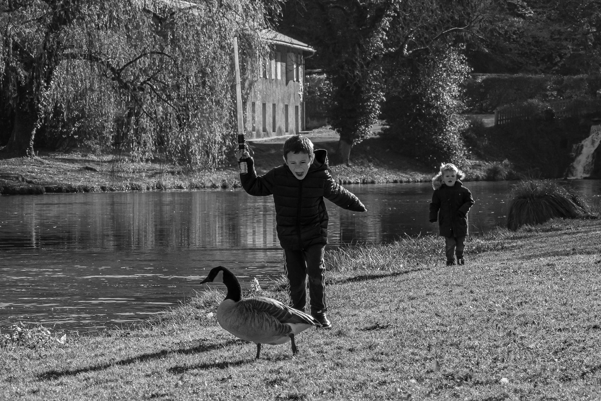 une journée au parc